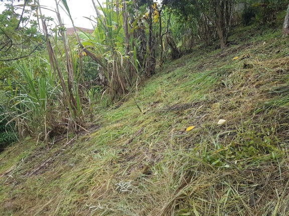 Imagem Imóvel à Venda, em Redenção Da Serra Imagem Imóvel à Venda, em Redenção Da Serra