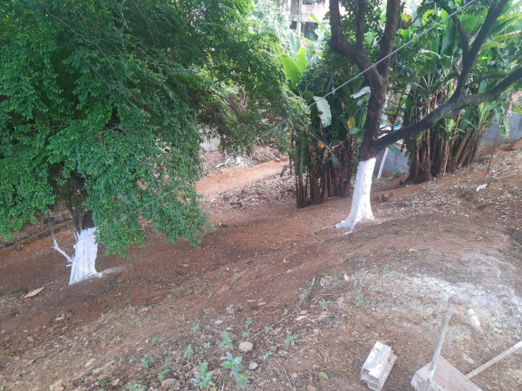 Terreno à Venda, 1.082 m² em Pernambués - Salvador