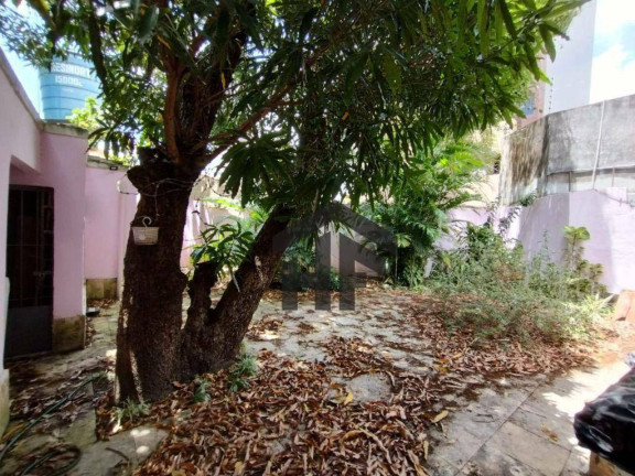 Imagem Casa com 3 Quartos para Alugar, 159 m² em Casa Forte - Recife Imagem Casa com 3 Quartos para Alugar, 159 m² em Casa Forte - Recife