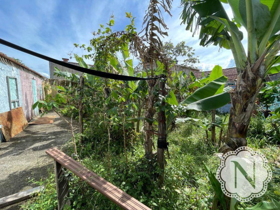 Imagem Terreno à Venda, 250 m² em Bopiranga - Itanhaém Imagem Terreno à Venda, 250 m² em Bopiranga - Itanhaém