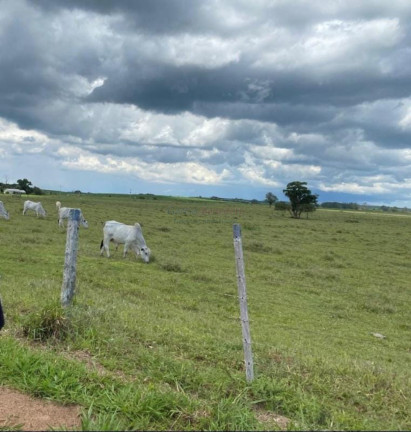 Imagem Imóvel com 5 Quartos à Venda, 5.808.000 m² em Centro - Avaré Imagem Imóvel com 5 Quartos à Venda, 5.808.000 m² em Centro - Avaré