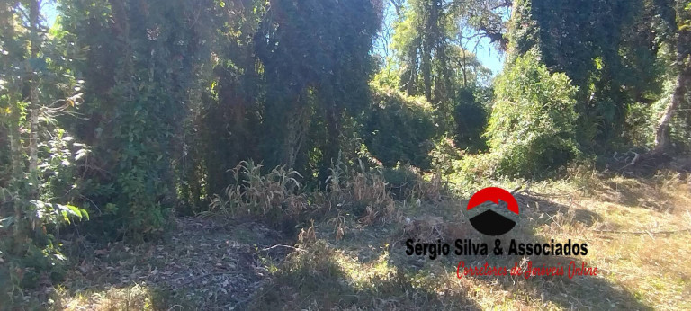 Imagem Terreno à Venda, 2 m² em Vila Nova Capivari - Campos Do Jordão Imagem Terreno à Venda, 2 m² em Vila Nova Capivari - Campos Do Jordão