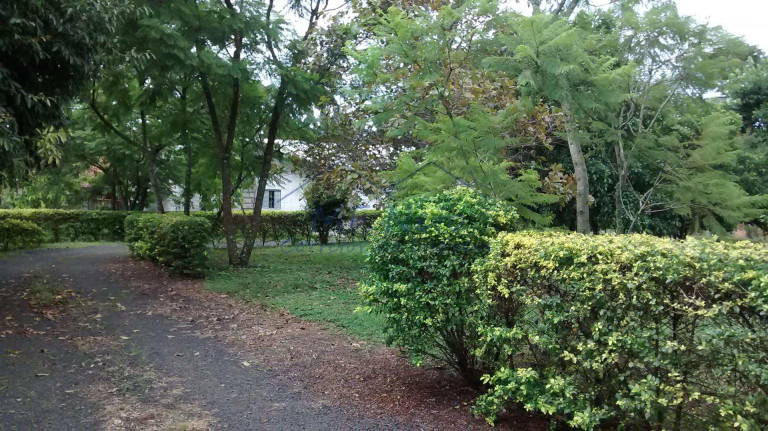 Imagem Fazenda à Venda, 8.400 m² em Zona Rural - Tambaú Imagem Fazenda à Venda, 8.400 m² em Zona Rural - Tambaú