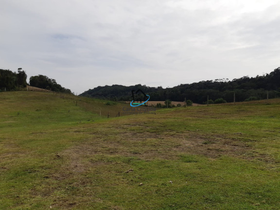 Imagem Imóvel à Venda, 346 m² em Jardim Veneza - Campo Magro Imagem Imóvel à Venda, 346 m² em Jardim Veneza - Campo Magro