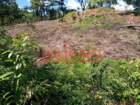 Imagem Chácara à Venda, 13.000 m² em Rio Natal - São Bento Do Sul Imagem Chácara à Venda, 13.000 m² em Rio Natal - São Bento Do Sul