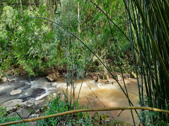Imagem Terreno à Venda, 3 m² em São Jacó - Nova Petrópolis