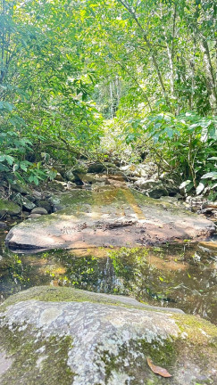 Imagem Terreno à Venda, em Encantada - Garopaba Imagem Terreno à Venda, em Encantada - Garopaba