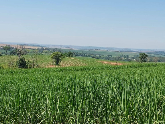 Imagem Chácara à Venda, 35 m² em Centro - Brumadinho Imagem Chácara à Venda, 35 m² em Centro - Brumadinho