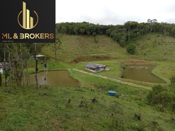 Imagem Imóvel à Venda, 30.250 m² em Matulao - Tijucas Do Sul