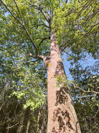 Imagem Terreno à Venda, 20.000 m² em Piedade Do Paraopeba - Brumadinho Imagem Terreno à Venda, 20.000 m² em Piedade Do Paraopeba - Brumadinho