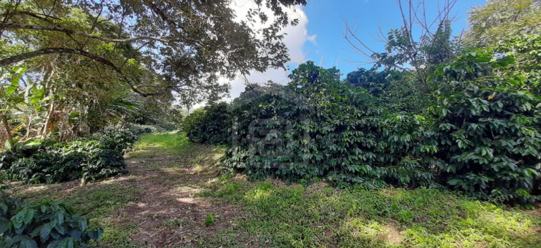 Imagem Imóvel à Venda, 3 m² em Milho Verde - Bandeira Do Sul