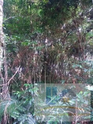 Imagem Terreno à Venda, 20.000 m² em Contenda - São José Dos Pinhais Imagem Terreno à Venda, 20.000 m² em Contenda - São José Dos Pinhais