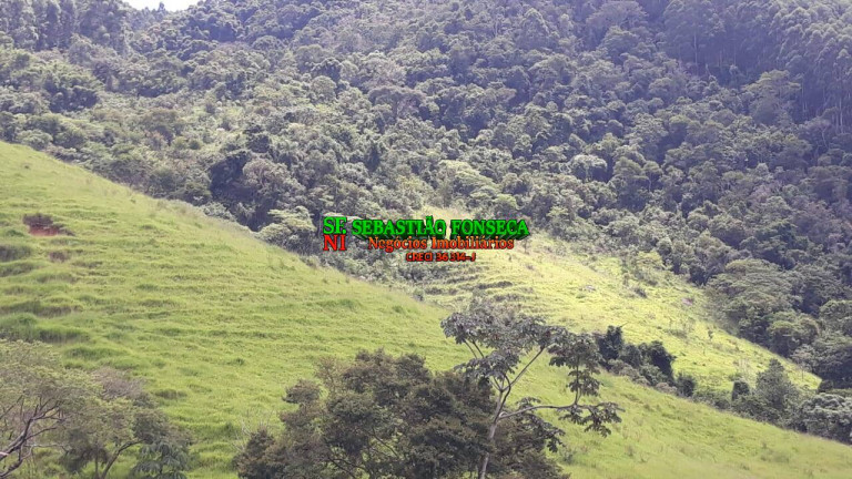 Imagem Chácara à Venda, 23 m² em Centro - Paraibuna Imagem Chácara à Venda, 23 m² em Centro - Paraibuna