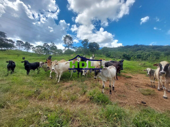Imagem Fazenda à Venda, 68 m² em Hidrolândia Imagem Fazenda à Venda, 68 m² em Hidrolândia