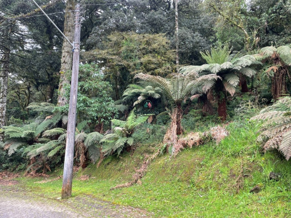 Imagem Terreno à Venda, 488 m² em Quinta Da Serra - Canela Imagem Terreno à Venda, 488 m² em Quinta Da Serra - Canela