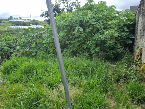 Terreno à Venda, 294 m² em Barro Branco - Cotia