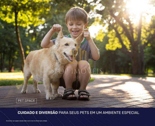 Imagem Apartamento com 3 Quartos à Venda, 76 m² em Conjunto Residencial Trinta E Um De Março - São José Dos Campos Imagem Apartamento com 3 Quartos à Venda, 76 m² em Conjunto Residencial Trinta E Um De Março - São José Dos Campos