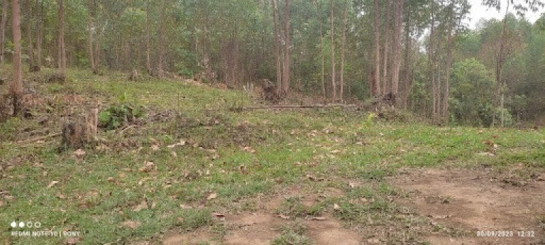 Imagem Chácara com 2 Quartos à Venda, 150 m² em Centro - Paraibuna Imagem Chácara com 2 Quartos à Venda, 150 m² em Centro - Paraibuna