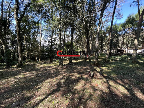 Imagem Casa com 3 Quartos à Venda, 2.000 m² em Centro - Ibiúna Imagem Casa com 3 Quartos à Venda, 2.000 m² em Centro - Ibiúna
