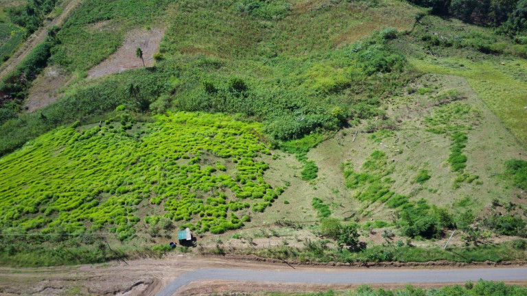 Imagem Terreno à Venda, 3.500 m² em Arvoredo - Concórdia Imagem Terreno à Venda, 3.500 m² em Arvoredo - Concórdia