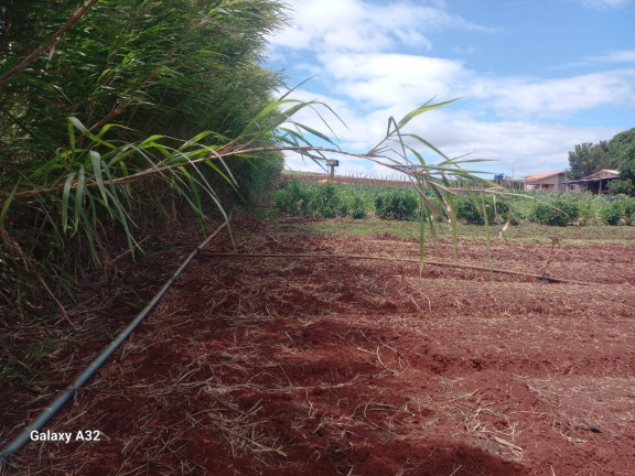 Imagem Chácara com 3 Quartos à Venda, 42.000 m² em Arapongas Imagem Chácara com 3 Quartos à Venda, 42.000 m² em Arapongas