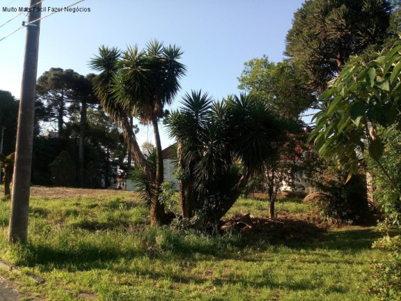 Imagem Terreno à Venda, 1.452 m² em Logradouro - Nova Petrópolis Imagem Terreno à Venda, 1.452 m² em Logradouro - Nova Petrópolis
