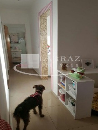 Imagem Imóvel com 2 Quartos à Venda, 50 m² em Ipiranga - Ribeirao Preto Imagem Imóvel com 2 Quartos à Venda, 50 m² em Ipiranga - Ribeirao Preto