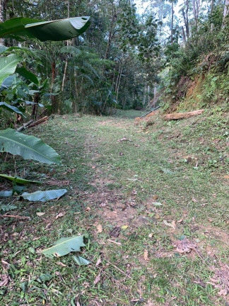 Imagem Chácara à Venda, 126.000 m² em Centro (rio Rosinha) - Rio Dos Cedros Imagem Chácara à Venda, 126.000 m² em Centro (rio Rosinha) - Rio Dos Cedros