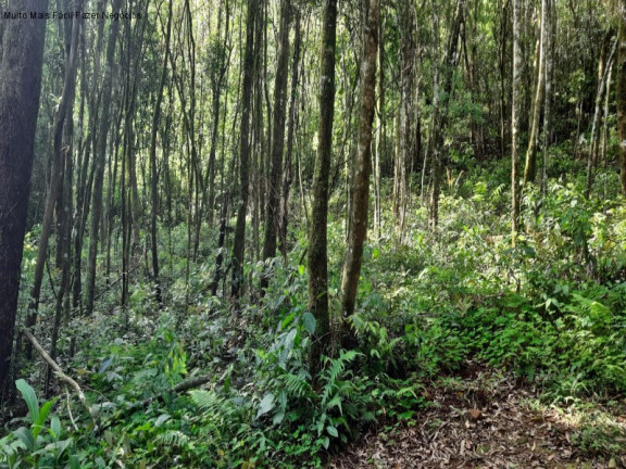 Imagem Terreno à Venda, 3 m² em São Jacó - Nova Petrópolis
