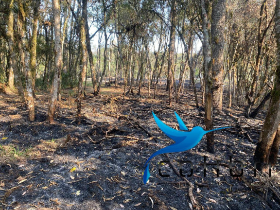 Terreno à Venda, 2.141 m² em Leão - Agudos Do Sul