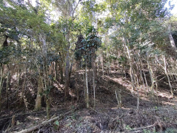 Imagem Terreno à Venda, 4.050 m² em Albuquerque - Teresópolis Imagem Terreno à Venda, 4.050 m² em Albuquerque - Teresópolis
