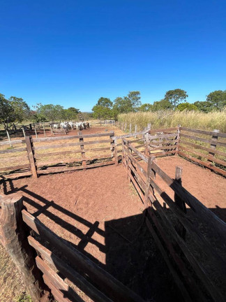 Imagem Chácara com 4 Quartos à Venda, 65 m² em Zona Rural - Rosário Oeste Imagem Chácara com 4 Quartos à Venda, 65 m² em Zona Rural - Rosário Oeste
