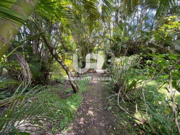 Imagem Casa com 4 Quartos à Venda, 231 m² em Riviera | Módulo 04 - Bertioga