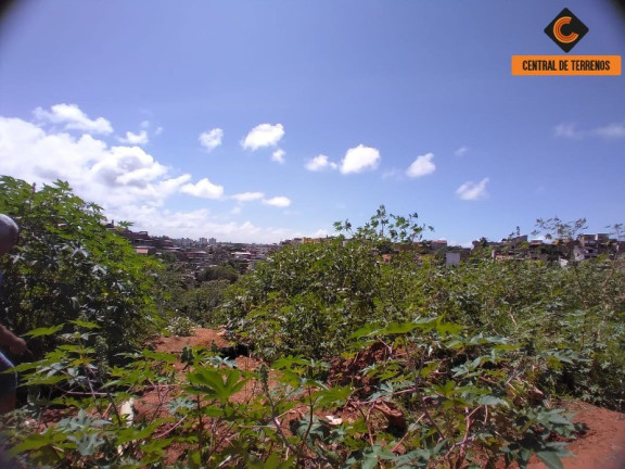 Imagem Terreno à Venda, 29.340 m² em Mussurunga - Salvador Imagem Terreno à Venda, 29.340 m² em Mussurunga - Salvador