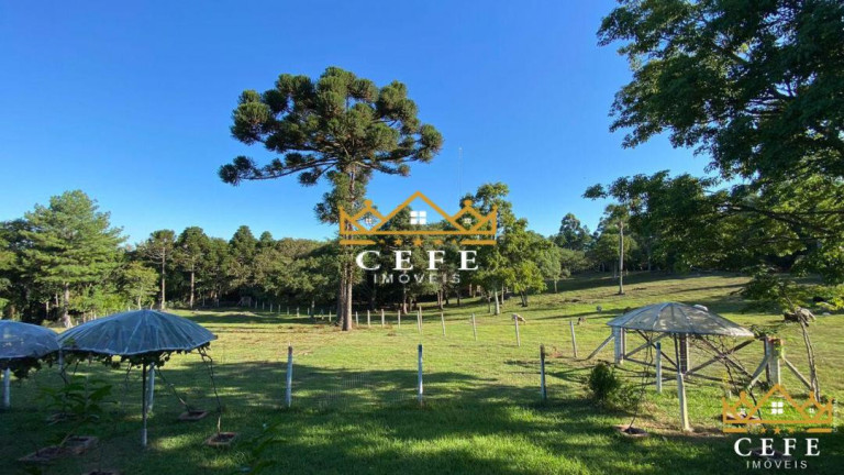Sala Comercial à Venda, 20 m² em Linha Imperial - Nova Petrópolis