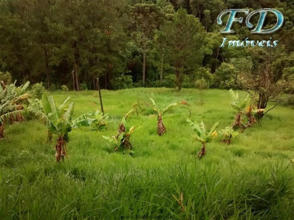 Imagem Fazenda à Venda, 1.113.200 m² em Terra Preta - Mairiporã Imagem Fazenda à Venda, 1.113.200 m² em Terra Preta - Mairiporã
