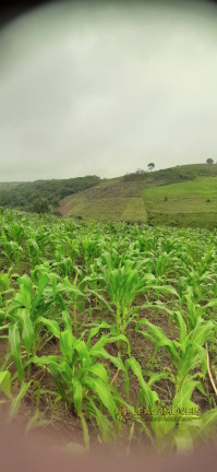 Imagem Imóvel à Venda, em Sairé - Sairé Imagem Imóvel à Venda, em Sairé - Sairé
