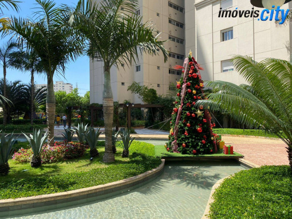 Imagem Apartamento com 3 Quartos para Alugar, 111 m² em Ipiranga - São Paulo Imagem Apartamento com 3 Quartos para Alugar, 111 m² em Ipiranga - São Paulo