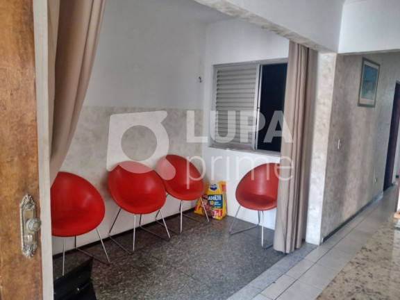 Imagem Casa com 3 Quartos para Alugar, 260 m² em Vila Maria - São Paulo Imagem Casa com 3 Quartos para Alugar, 260 m² em Vila Maria - São Paulo