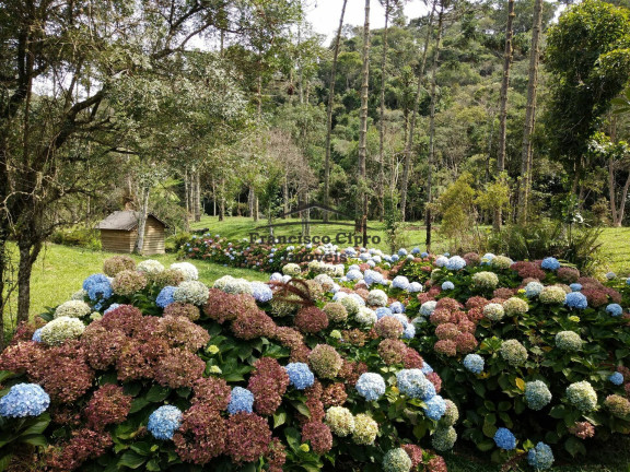 Imagem Casa com 2 Quartos à Venda, 150 m² em Paraibuna - Cunha Imagem Casa com 2 Quartos à Venda, 150 m² em Paraibuna - Cunha