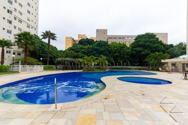 Imagem Apartamento com 4 Quartos à Venda, 213 m² em Cambuci - São Paulo Imagem Apartamento com 4 Quartos à Venda, 213 m² em Cambuci - São Paulo