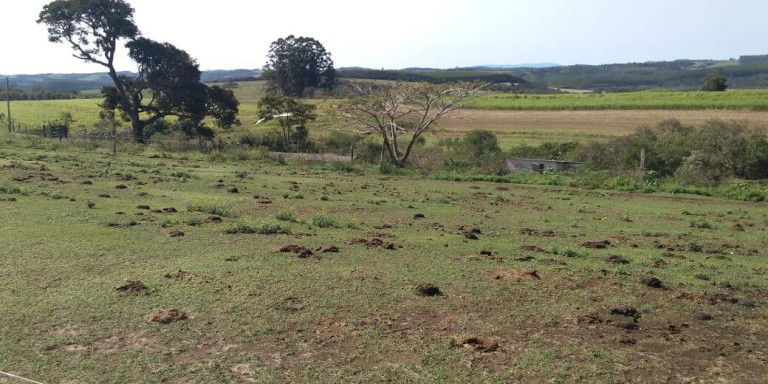 Imagem Fazenda à Venda, 56 m² em Zona De Pecuária - Pilar Do Sul Imagem Fazenda à Venda, 56 m² em Zona De Pecuária - Pilar Do Sul