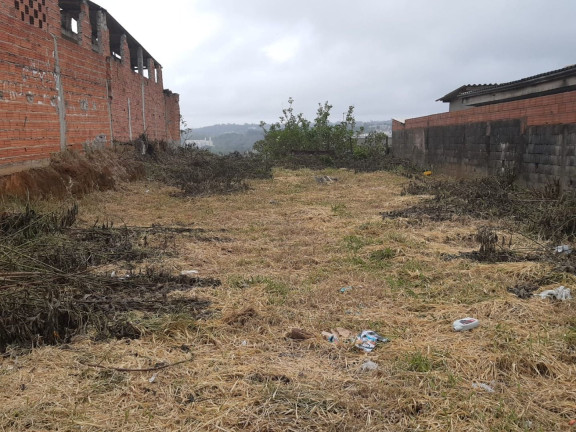 Imagem Terreno à Venda, 250 m² em Jardim São Miguel - Cotia Imagem Terreno à Venda, 250 m² em Jardim São Miguel - Cotia