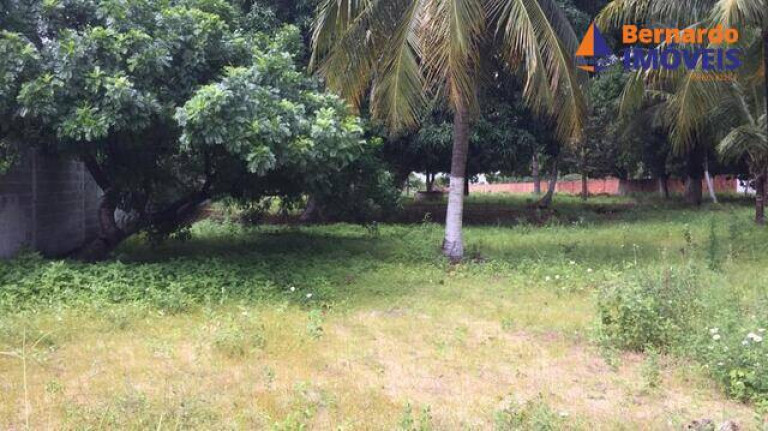Imagem Chácara com 3 Quartos à Venda, 9 m² em Tijucussú - Cascavel