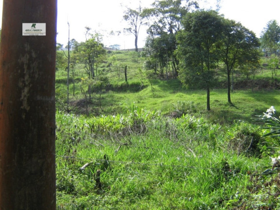 Imagem Chácara à Venda, 11.280 m² em Alto Da Serra - São Roque Imagem Chácara à Venda, 11.280 m² em Alto Da Serra - São Roque