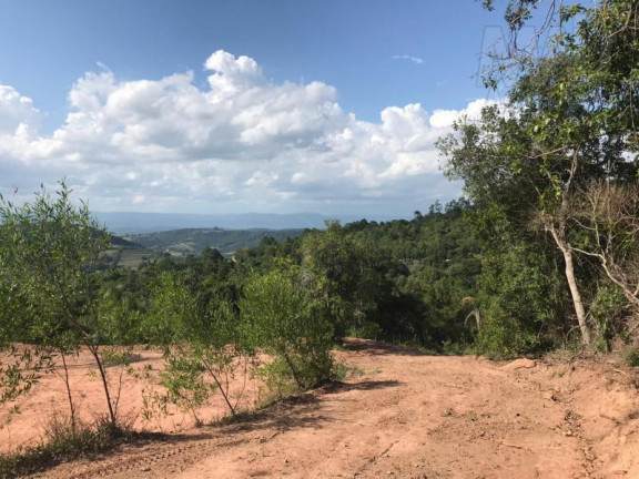 Imagem Terreno à Venda,  em Lomba Grande - Novo Hamburgo