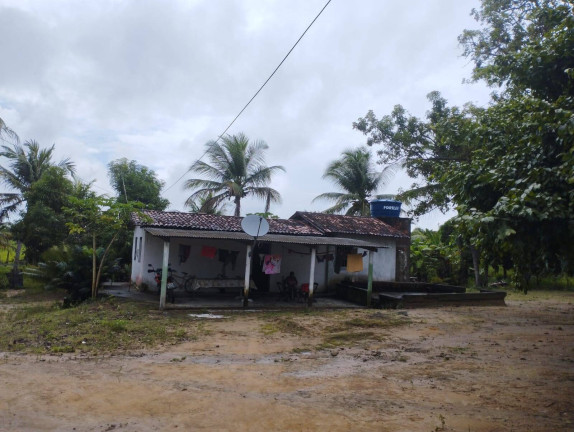 Imagem Chácara com 3 Quartos à Venda, 6.000 m² em Conde