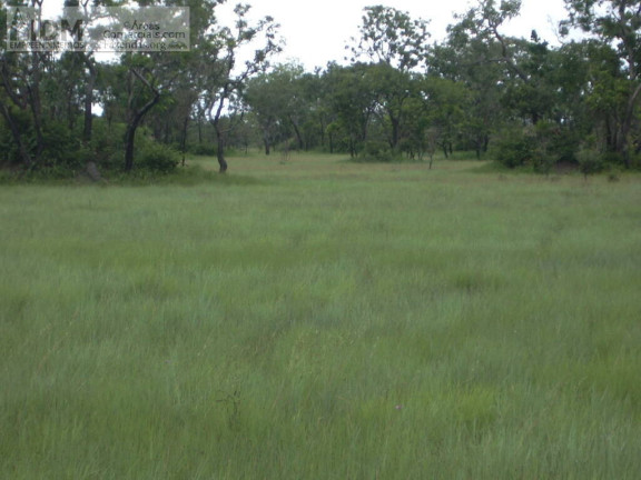 Imagem Chácara à Venda, 830.000.000 m² em Rural - São Félix Do Araguaia Imagem Chácara à Venda, 830.000.000 m² em Rural - São Félix Do Araguaia