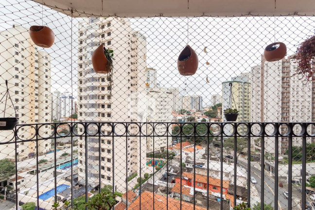Imagem Apartamento com 3 Quartos à Venda, 73 m² em Chácara Inglesa - São Paulo