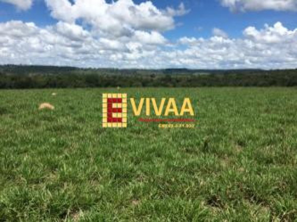 Imagem Fazenda à Venda, 21 m² em Novo São Joaquim Imagem Fazenda à Venda, 21 m² em Novo São Joaquim